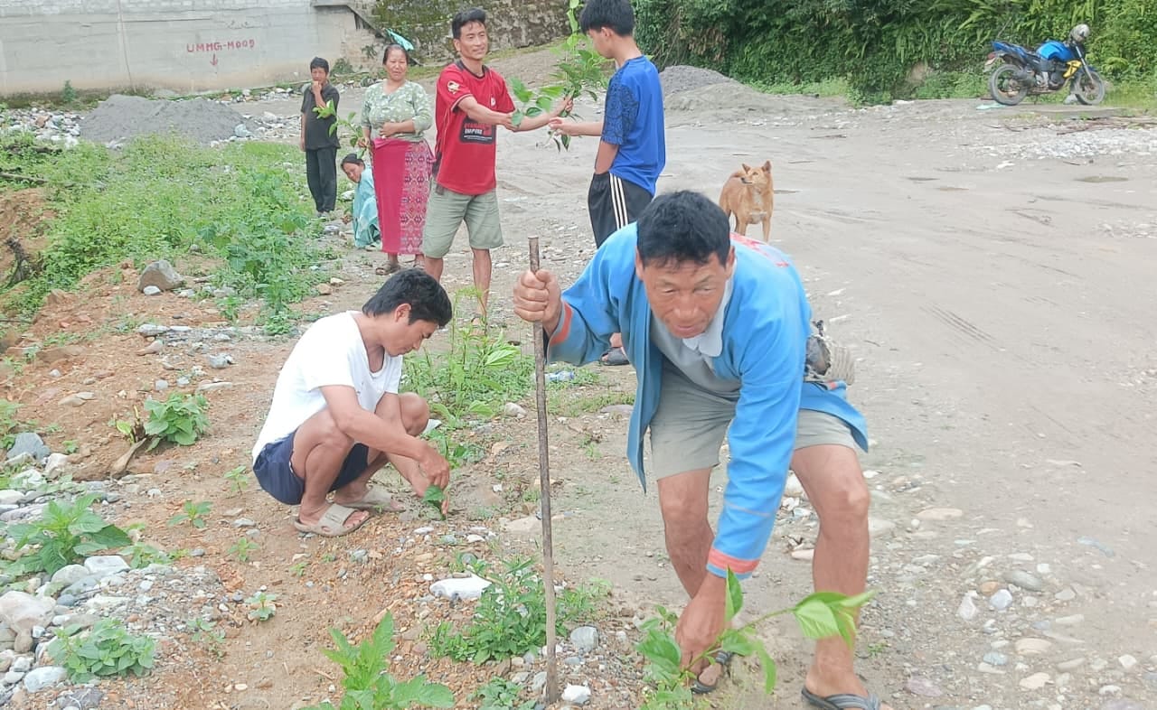 SIPONG members and local residents taking part in a plantation activity